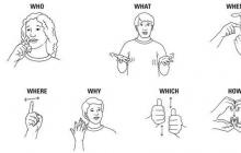 Как сказать научи языку жестов