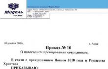 Оформление приказа на премию за хорошую работу: образец документа и порядок поощрения работников